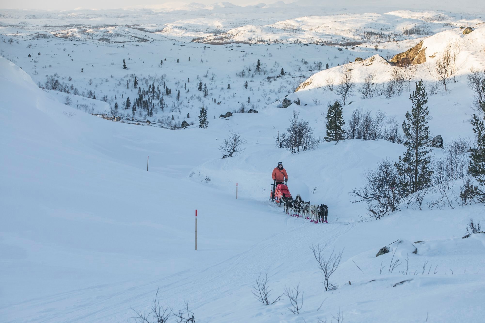 Steinar Kristensen leder for øyeblikket FL-1200. (Foto: Steinar Vik)