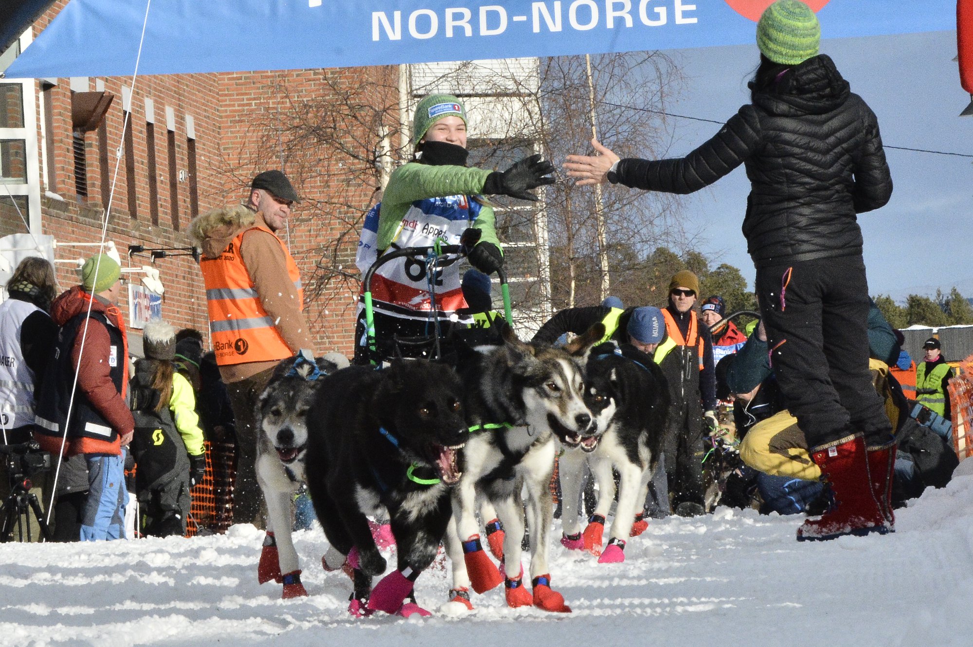 Finnmarksløpet – hva skjer søndag 8. mars?