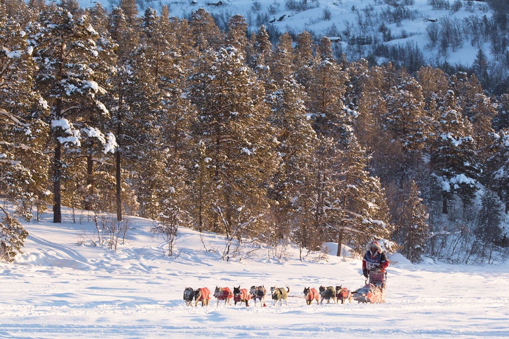 Finnmarksløpet