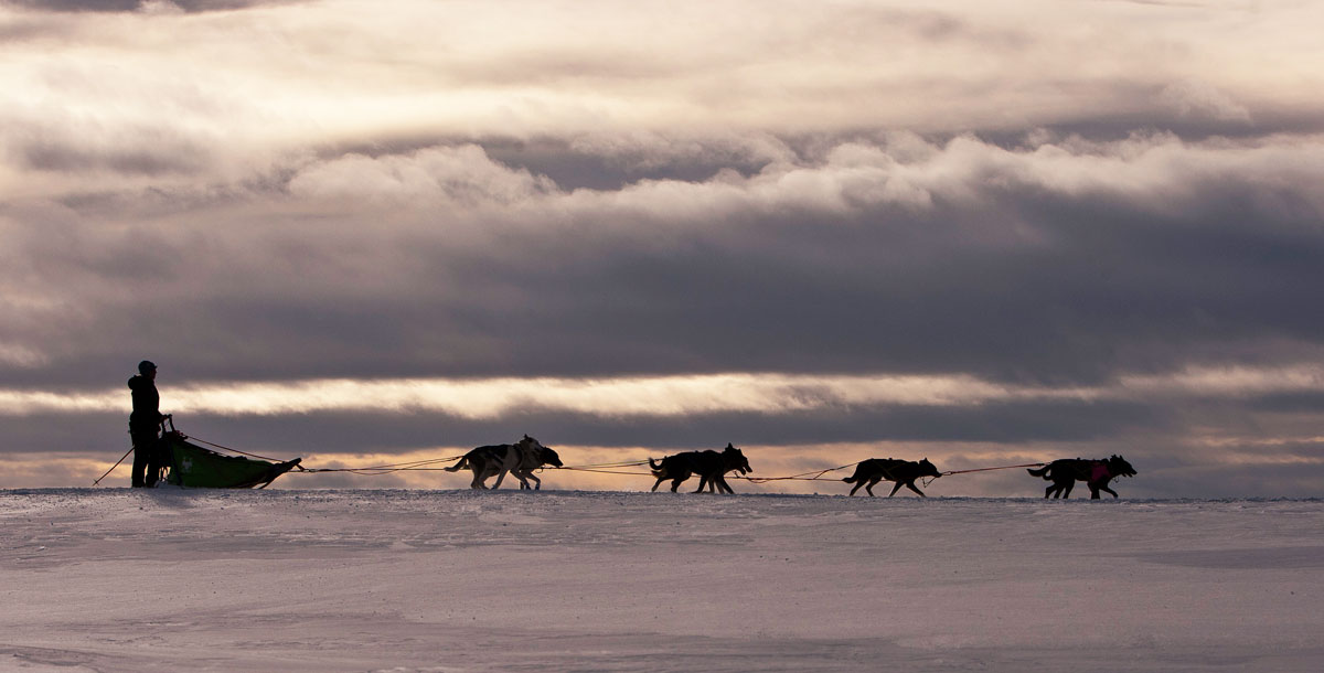 Finnmarksløpet