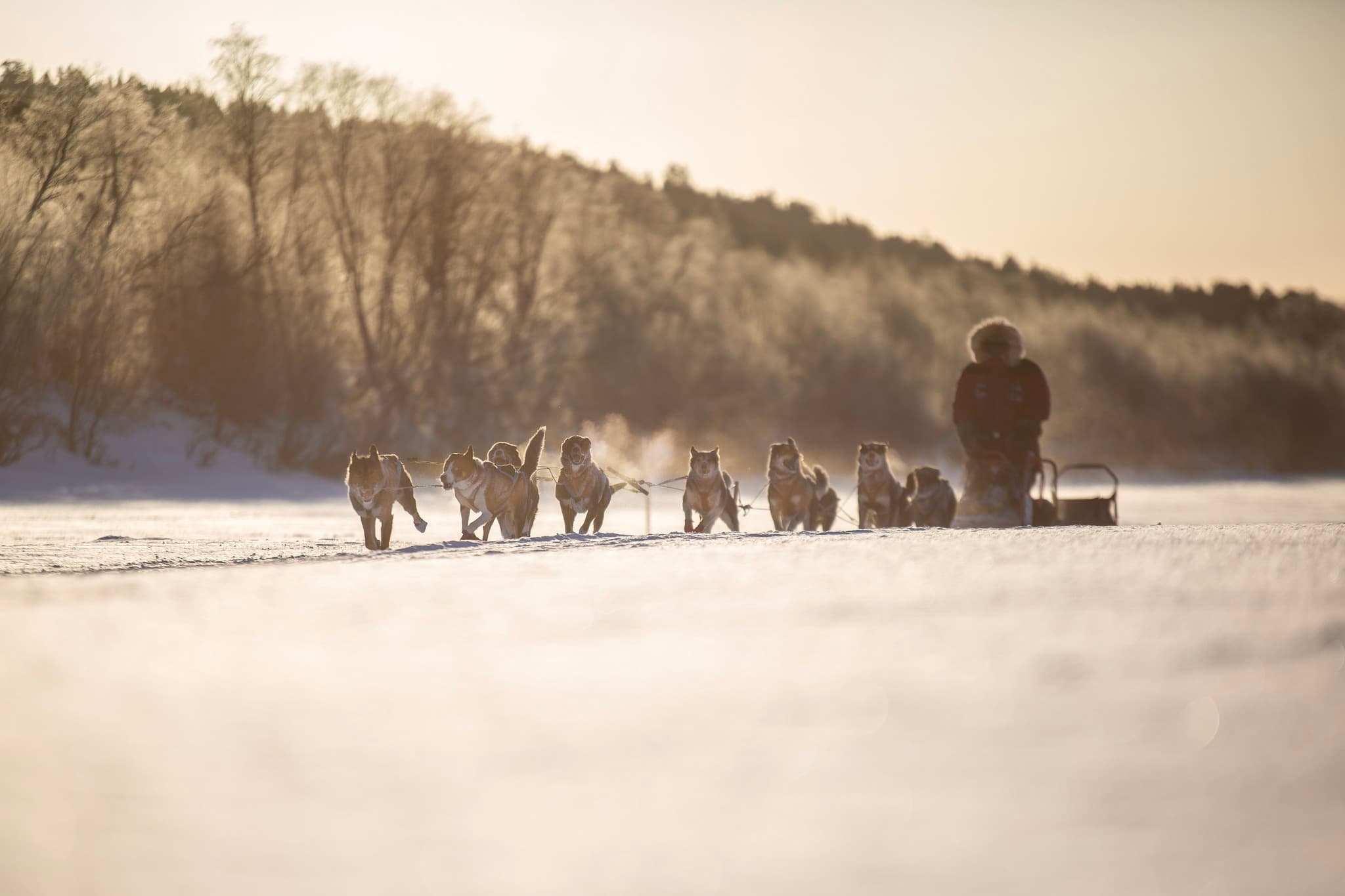 Changes for Finnmarksløpet 2026