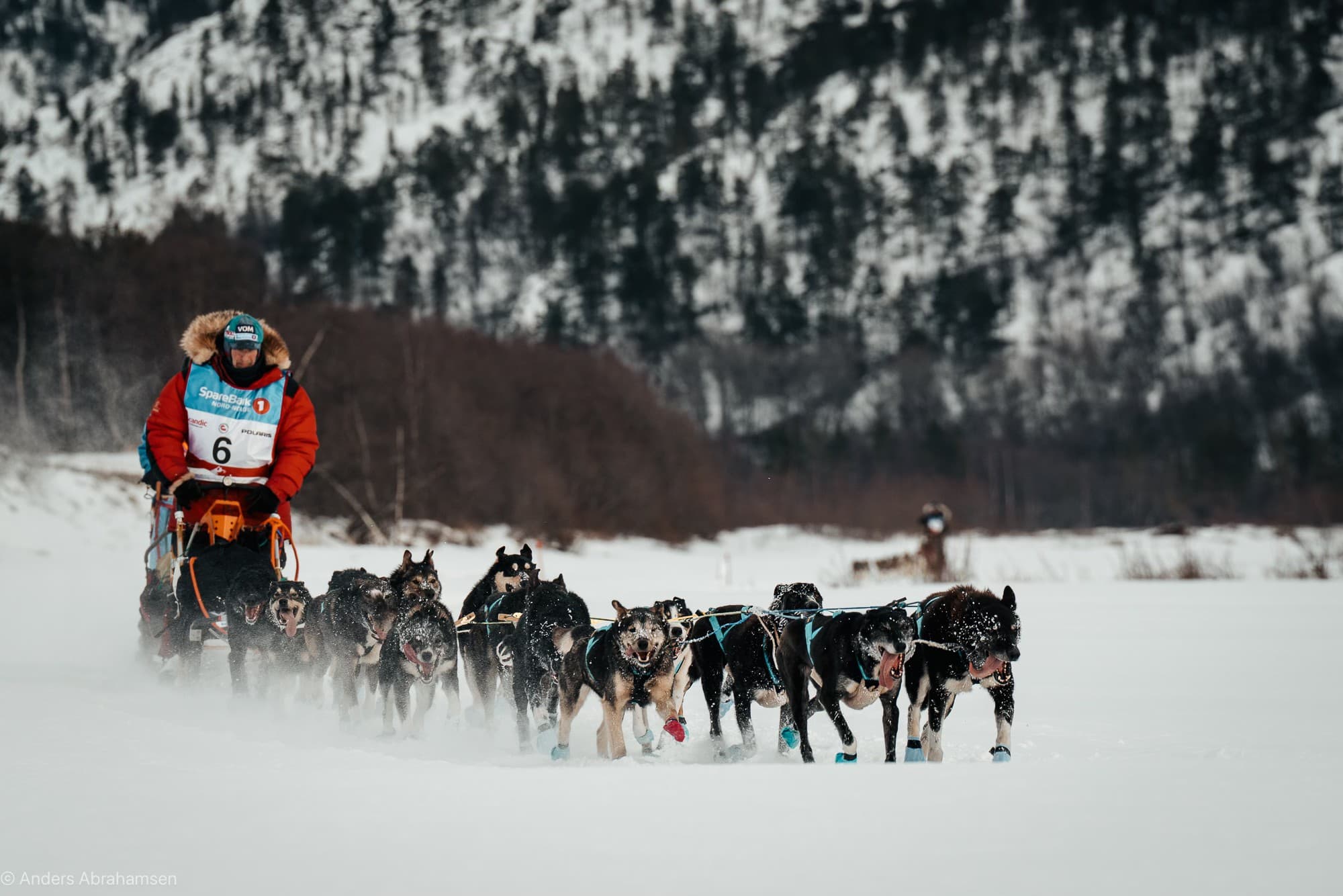 Hundekjører fra Finnmarksløpet
