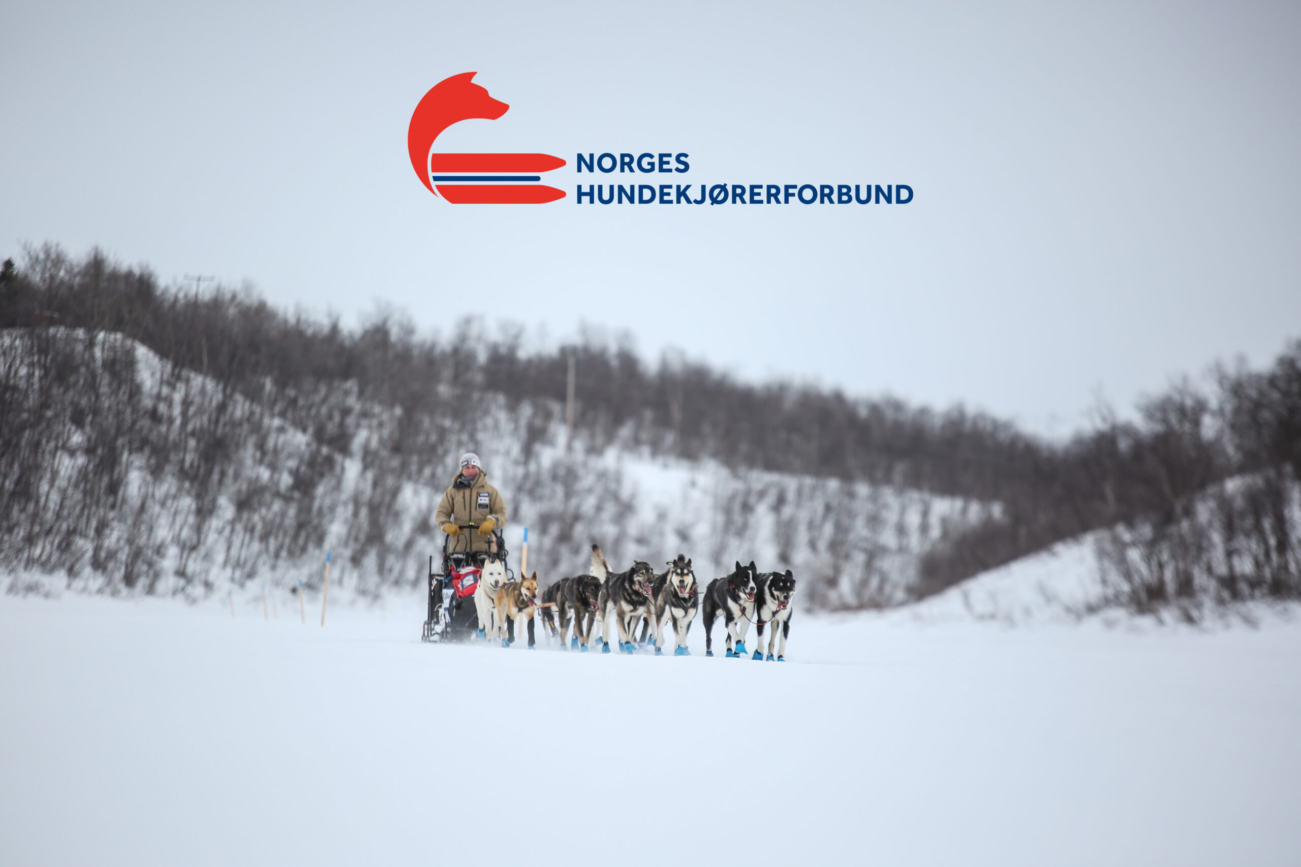 Finnmarksløpet er tildelt NM